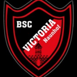 Logo BSC Victoria Naunhof